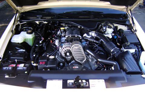 1996 Mercury Grand Marquis - It had been months since the engine was last cleaned. Although the car was driven 0 miles within this time, as expected there was a heavy d…