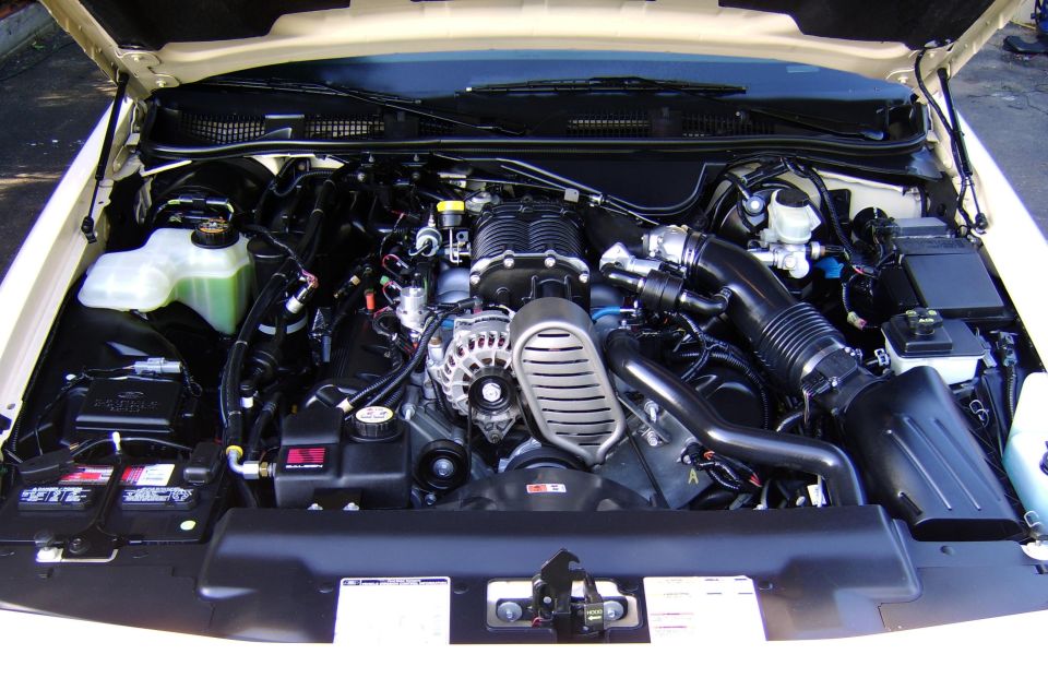 Clean detailed engine bay with supercharger and chrome accents