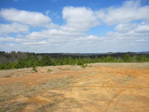 1993 Ford Bronco - A wide view of a rural landscape with dry grass and trees under a partly cloudy sky.