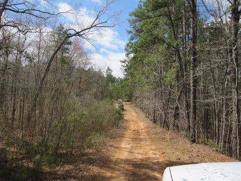 1993 Ford Bronco - Two SUVs are seen on a dirt road surrounded by trees.