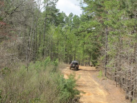 1993 Ford Bronco - A dark SUV navigates a dirt road through a dense forest, with another vehicle visible in the distance.