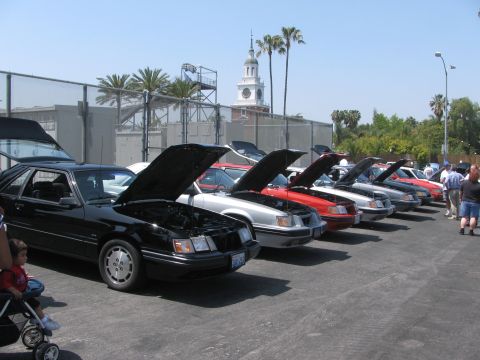 1996 Ford C-350 (Centurion Conversions) - Several Ford Mustangs are lined up with their hoods open, displaying their engines under a clear sky.