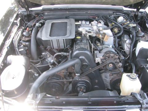 1996 Ford C-350 (Centurion Conversions) - Close-up view of a Ford turbo diesel engine, showing the air intake, belts, and various engine components.