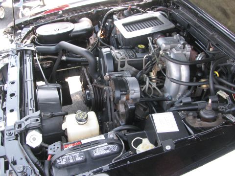 1996 Ford C-350 (Centurion Conversions) - Engine bay of a 1996 Ford C-350 (Centurion Conversions) showing the V8 engine and its components.