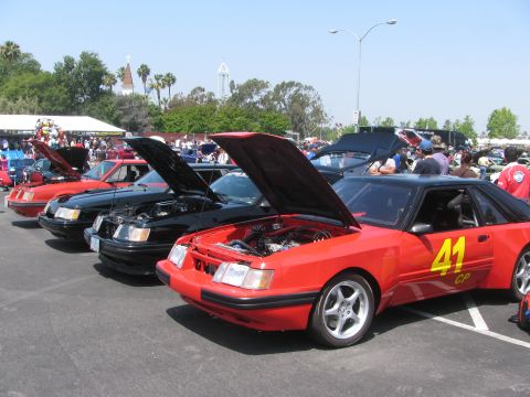 1996 Ford C-350 (Centurion Conversions) - Several Ford Mustangs are displayed with their hoods open at an outdoor car show.