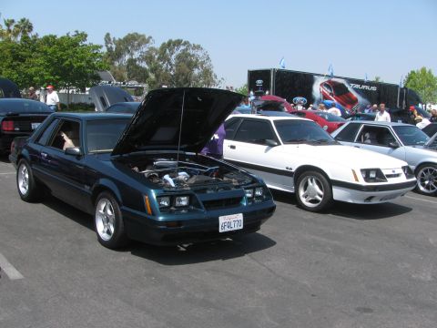 1996 Ford C-350 (Centurion Conversions) - Two Ford Mustangs, one dark teal and one white, are parked side-by-side with hoods open at an outdoor event.