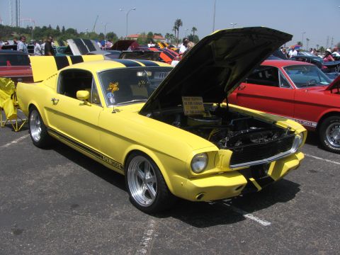 1996 Ford C-350 (Centurion Conversions) - Yellow 1966 Ford Mustang GT350 at a car show, hood open, with a red car beside it.