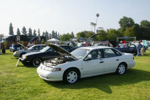 1992 Ford Taurus - Several Ford Taurus sedans are displayed on a grassy field under a clear sky.