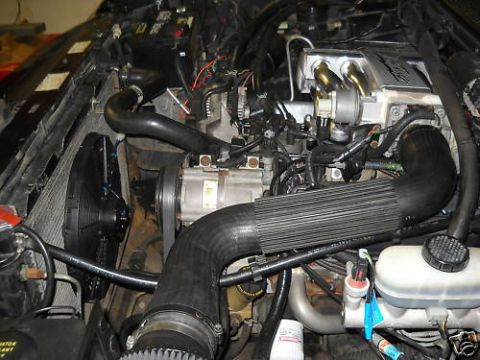 1994 Ford Bronco - Close-up view of an engine bay with various components and black hoses.