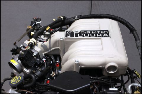 1994 Ford Bronco - This engine features a 5.0 Liter Cobra intake manifold, not a GT40 engine.