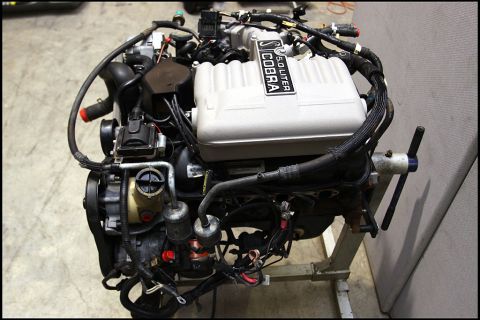 1994 Ford Bronco - This is a Ford 5.0L Cobra engine, likely from a Mustang, not a 1994 Bronco.