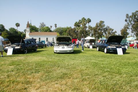 1992 Ford Taurus - A car show displays several Ford Tauruses, with their hoods open, on a sunny day.