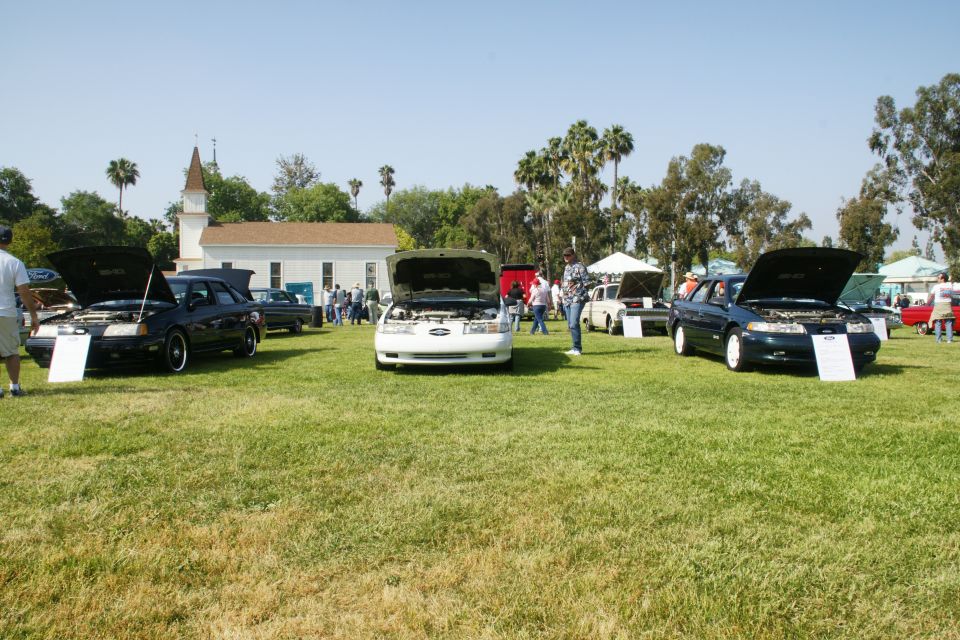 Three Ford Tauruses parked on grass, hoods up, with a church and palm trees in the background