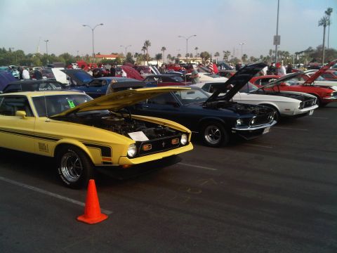 1986 Ford Bronco - A row of classic Ford Mustangs are displayed with their hoods open at an outdoor car show.