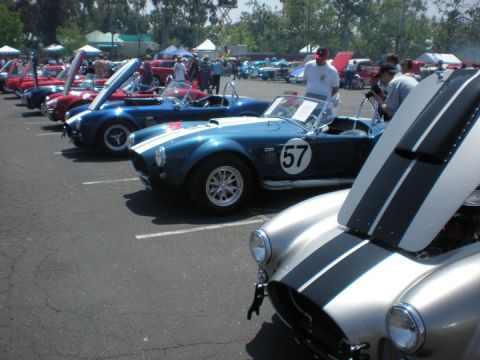 1979 Ford Bronco - A line of classic sports cars, including a silver and blue Shelby Cobra, are parked outdoors at an event.