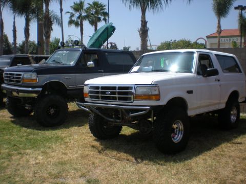 1979 Ford Bronco - Two lifted Ford Broncos are parked on a grassy area under palm trees.