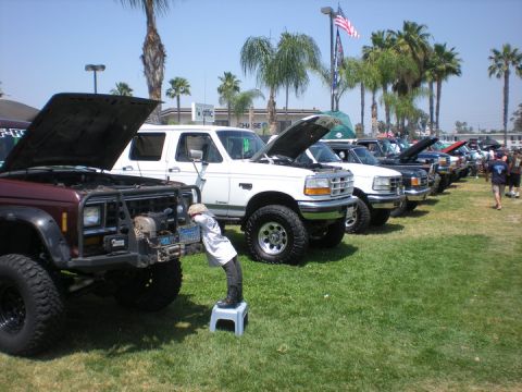 1979 Ford Bronco - Multiple trucks and SUVs are displayed with their hoods open at an outdoor event.