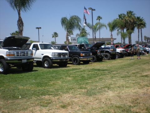 1979 Ford Bronco - A lineup of modified Ford trucks and SUVs are displayed outdoors under a clear sky.