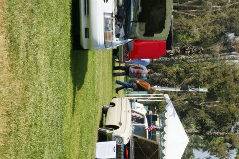 1992 Ford Taurus - Cars are displayed on a grassy field under a tent and open sky, with people milling around.