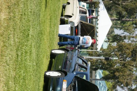 1992 Ford Taurus - A dark green sedan is displayed on a grassy lawn with its hood open, next to a white tent.