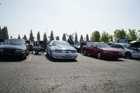 1992 Ford Taurus - Three Ford Taurus sedans are parked in a lot, with one white model a contrasting black hood.