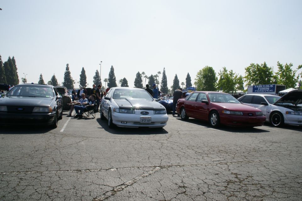 1992 Ford Taurus sedans parked in a lot, one white with black hood