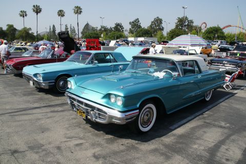1992 Ford Taurus - Classic Ford Thunderbirds displayed at a car show, with a roller coaster visible in the background.