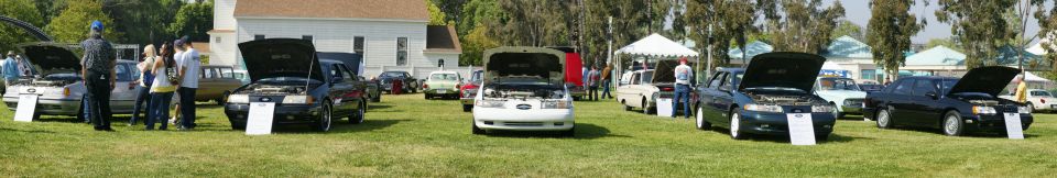 Several cars with hoods up at an outdoor car show. One is a dark sedan