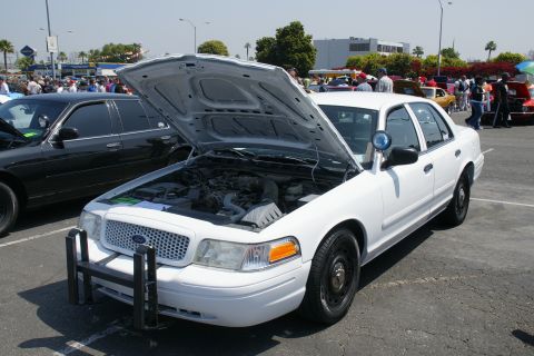 1992 Ford Taurus - White Ford Crown Victoria Police Interceptor with hood open at an outdoor car show.