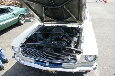 1992 Ford Taurus - A classic white Ford Mustang with its engine exposed, parked next to a green vintage car.