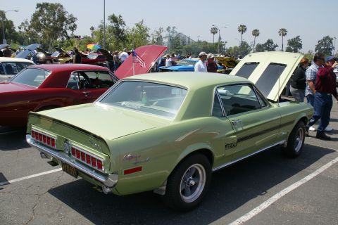1992 Ford Taurus - A light green 1967 Ford Mustang GT is displayed with its hood open at an outdoor car show.