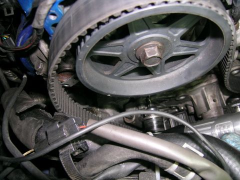1995 Ford Probe - Close-up view of an engine's timing belt and pulley system.