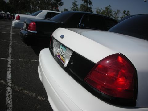 2004 Ford Crown Victoria - Multiple Ford Crown Victorias are parked in a lot, showing their rear ends.