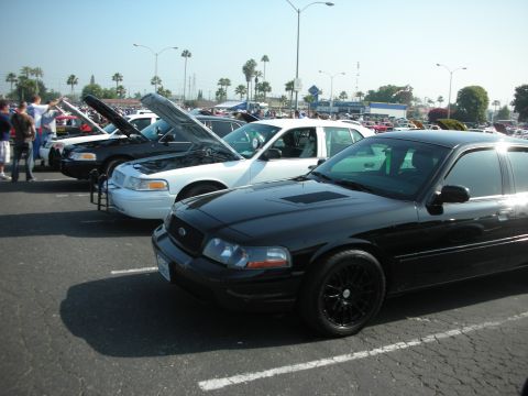 2004 Ford Crown Victoria - Several Ford Crown Victorias are parked in a lot, some with hoods open, under a bright sky.