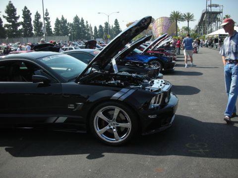 2004 Ford Crown Victoria - Several cars are lined up with hoods open at an outdoor car show.