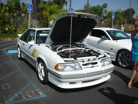 2004 Ford Crown Victoria - A white Ford Mustang from the late 1980s or early 1990s is displayed with its hood open.