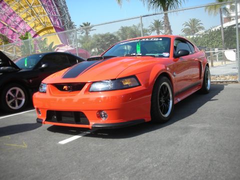 2004 Ford Crown Victoria - Orange 2004 Ford Mustang with black stripes and aftermarket wheels at an outdoor event.