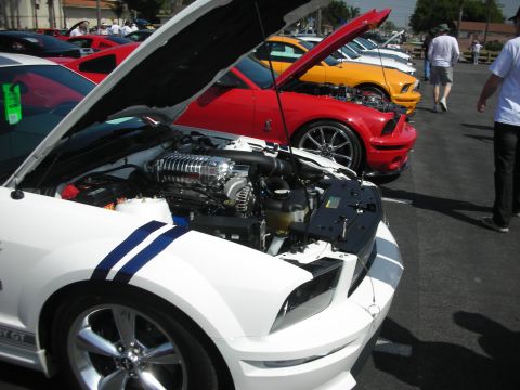 2004 Ford Crown Victoria - Multiple Ford Mustangs are displayed with hoods open, revealing their engines.