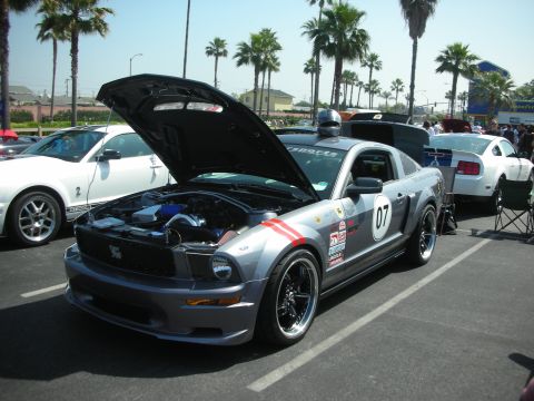 2004 Ford Crown Victoria - A silver Ford Mustang with racing decals and an open hood is parked next to a white Ford Mustang.
