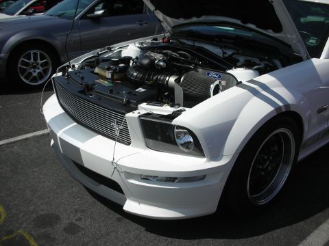2004 Ford Crown Victoria - Front view of a white Ford Mustang with its hood open, revealing the engine bay.