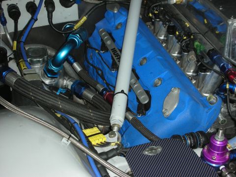 2004 Ford Crown Victoria - Close-up of a modified engine bay with custom blue valve covers and numerous braided lines.