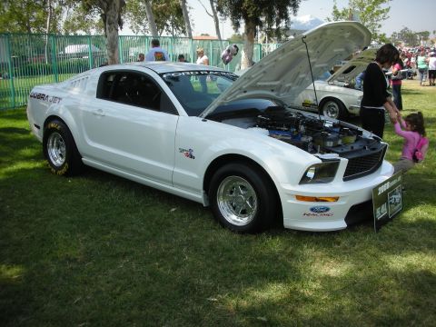 2004 Ford Crown Victoria - White 2005-2009 Ford Mustang Cobra Jet displayed at an outdoor car show with its hood open.