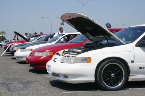 1992 Ford Taurus - Several Ford Tauruses are lined up with their hoods open at an outdoor car show.