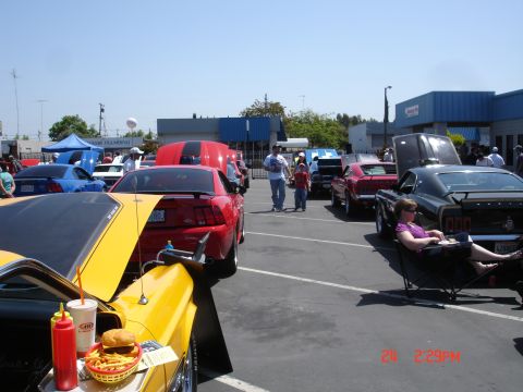 1978 Ford Mustang II - A car show features multiple Ford Mustangs on display under a clear sky.