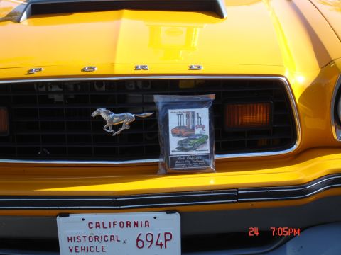 1978 Ford Mustang II - Front view of a 1978 Ford Mustang II grille, a bagged item with Mustang illustrations.