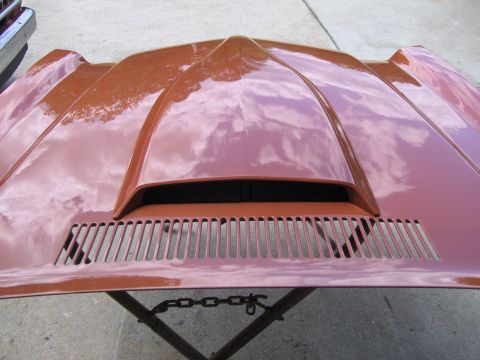 1980 Chevrolet Camaro - A close-up of a car hood with a prominent central scoop and ventilation grilles.