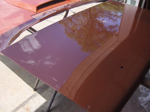 1980 Chevrolet Camaro - A car's hood and fender, painted a reddish-brown, are shown with reflections of the surrounding environment.