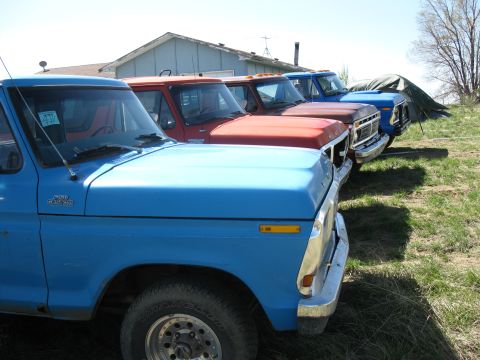 1978 Ford Bronco - Several trucks are parked in a line outdoors, with a house and tent visible behind them.
