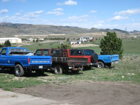 1978 Ford Bronco - Several Ford trucks and a Bronco are parked outdoors in a rural setting under a partly cloudy sky.