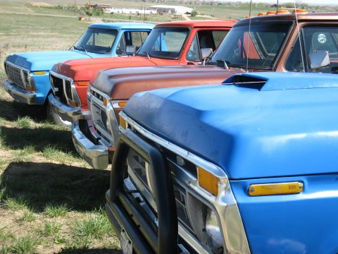 1978 Ford Bronco - Several pickup trucks are lined up in a grassy field, with the front of a blue truck in the foreground.